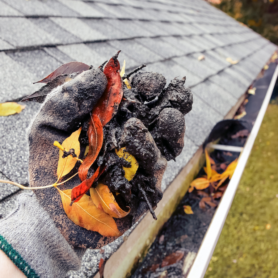 It’s not too Late – Clean Your Gutters now to be Ready for Spring Showers!