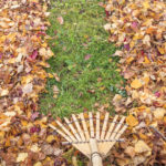 Fall Leaves are Ready to Fall –  Are Your Gutters Ready?