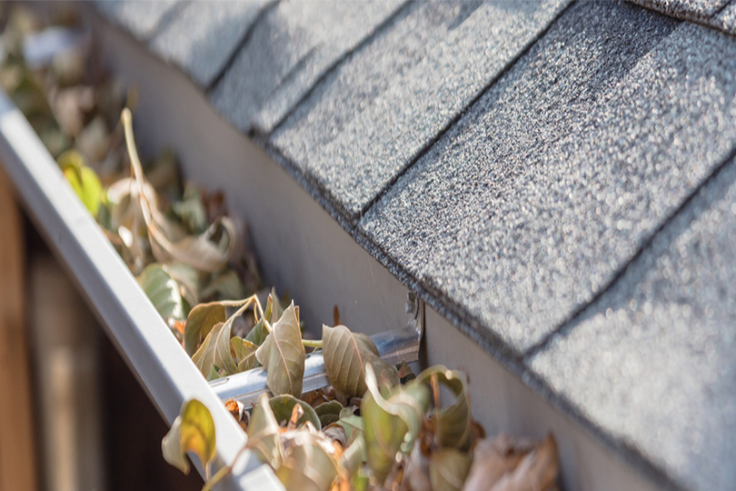 Looking to Spread Cheer This Holiday Season? Surprise Someone With Gutter Cleaning!