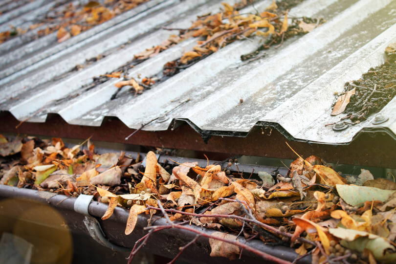 How Are Your Spring Gutters Looking?